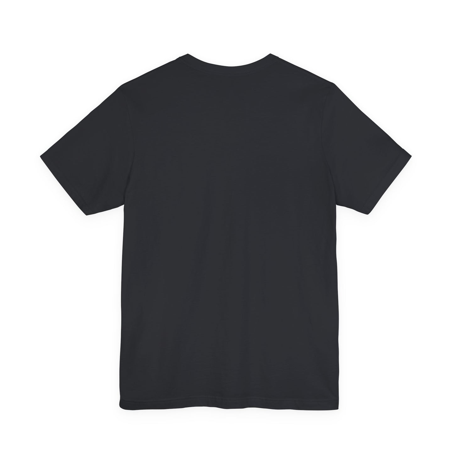 Shame on You! Shame on all of You! Miller Beach, Gary, IN Unisex T-Shirt