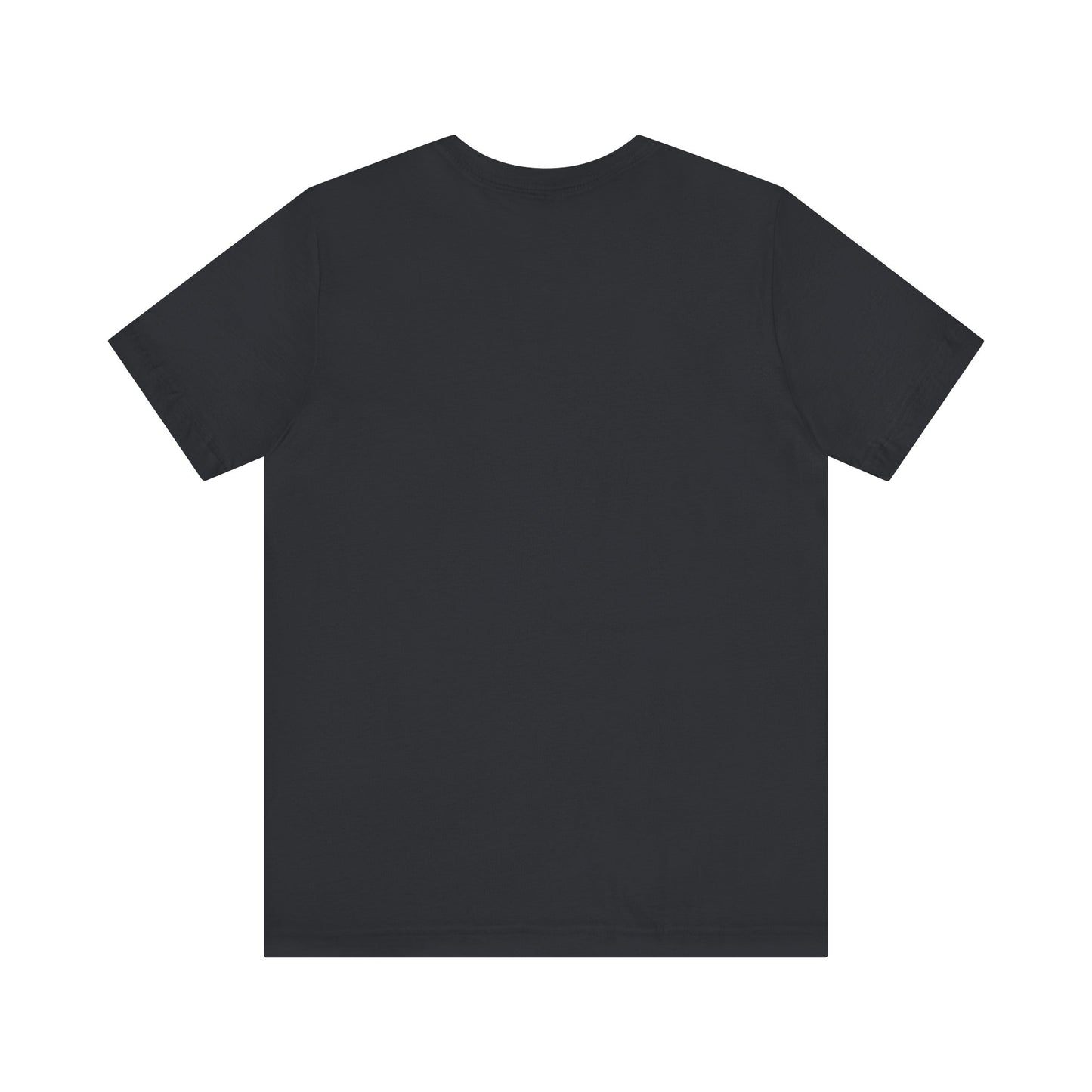 Shame on You! Shame on all of You! Miller Beach, Gary, IN Unisex T-Shirt